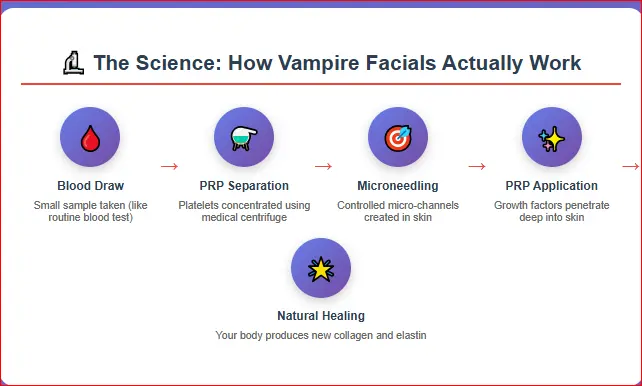 Step-by-step visual of how Vampire Facials work blood draw, PRP separation, microneedling, PRP application, and natural collagen healing